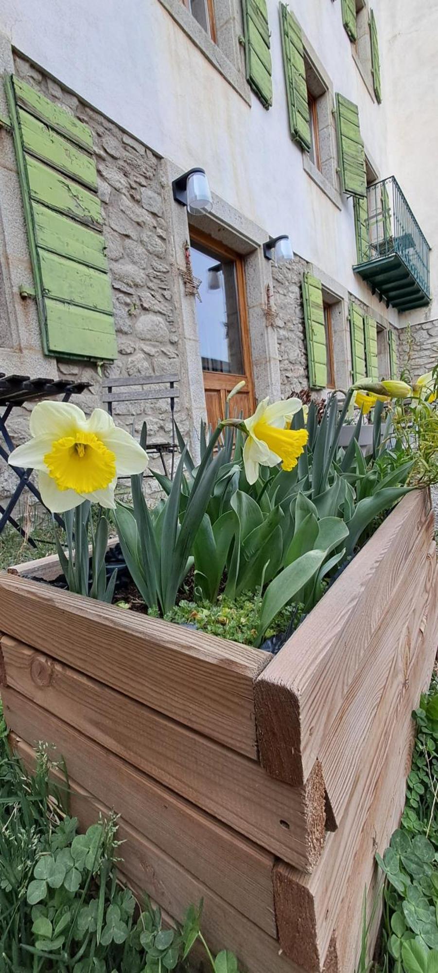 Bed and Breakfast Le Grenier Des Moineaux Font-Romeu-Odeillo-Via Exterior foto